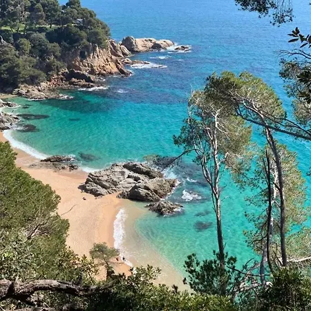 Beach&pool, Boutique With Free Parking, Full Equipped In Fenals 公寓 *